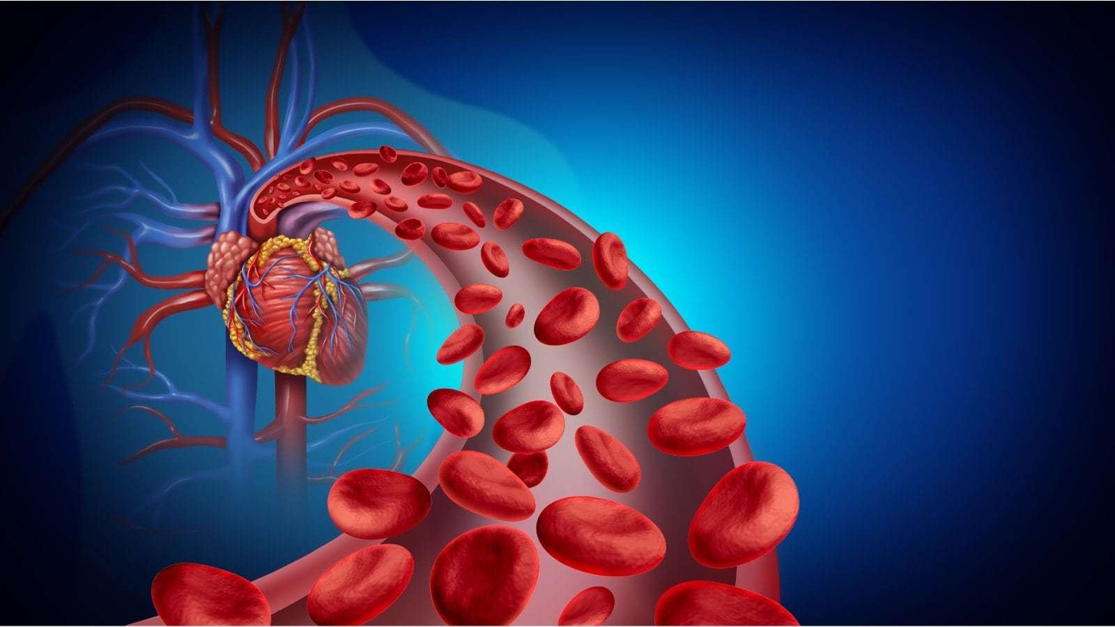 Best Ayurvedic Treatment for Better Blood Circulation : Causes, Symptoms, Remedies & Medicine