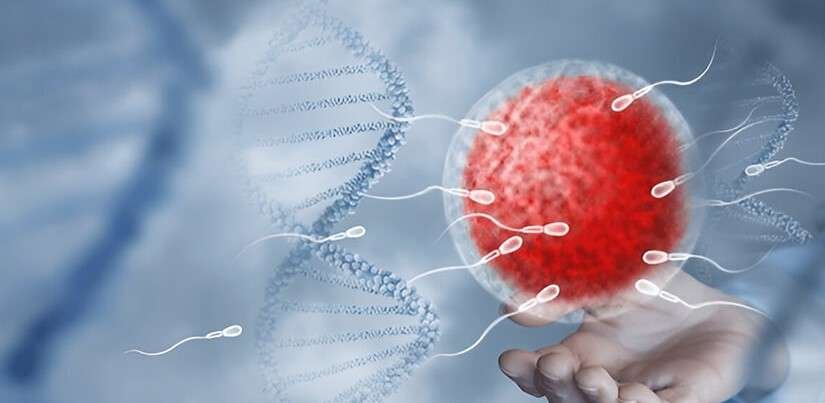 Best Ayurvedic Treatment for Low Sperm Count (Oligospermia)