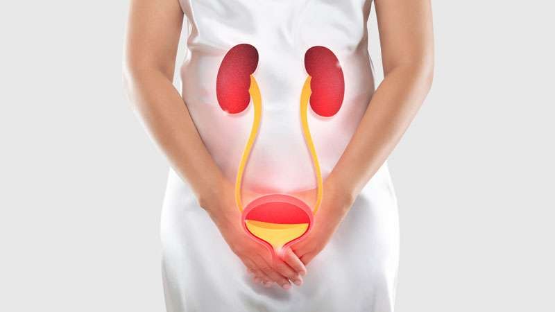 10 Signs That You Have UTI: Don’t Ignore These UTI Signs!