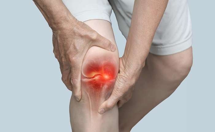 Best Pain Oil for Knee Pain — Paingesic Oil by Vedic Upchar