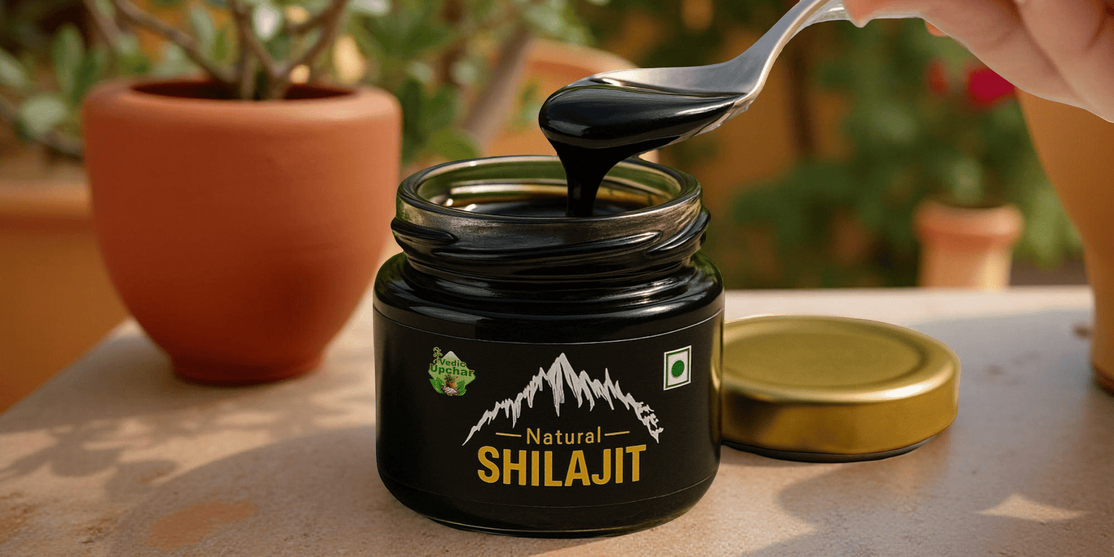 Top 10 Shilajit Brands in India — 2025 Guide