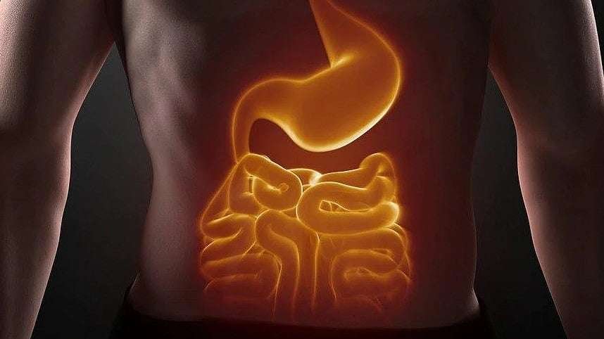 How to Balance Agni (Digestive Fire) Naturally — Ayurvedic Guide
