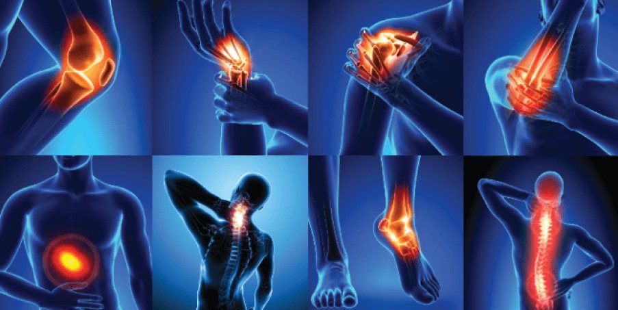 One Oil, Many Problems — Paingesic Oil by Vedic Upchar