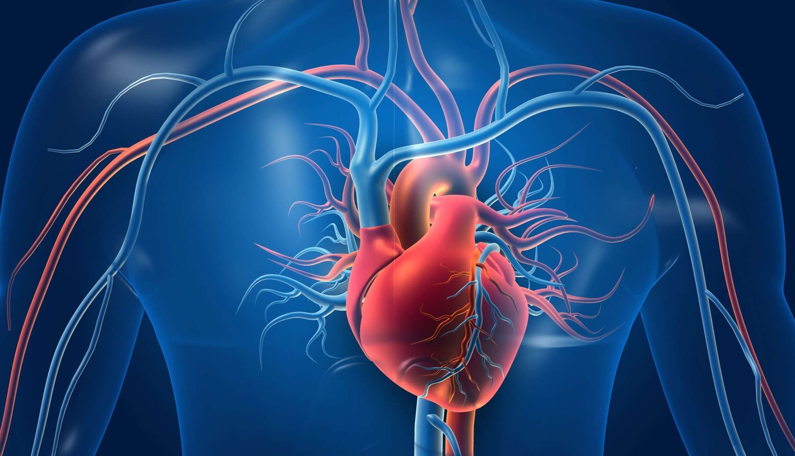 How to Improve Blood Circulation Naturally — Ayurvedic & Practical Guide