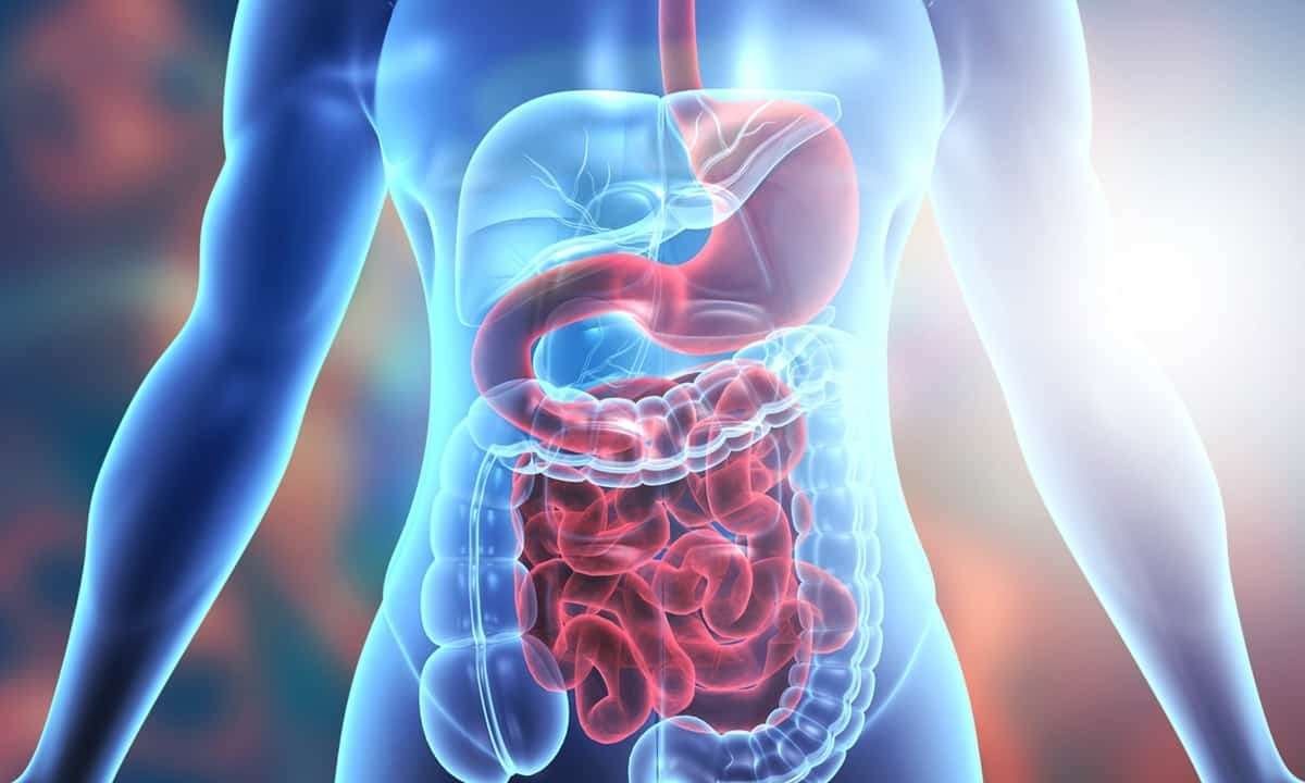 Why Digestion Becomes Slow — Causes, Signs & Practical Fixes