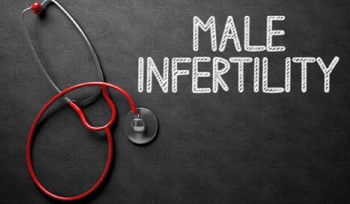 Boosting Male Fertility Naturally: Winter Diet & Lifestyle Tweaks