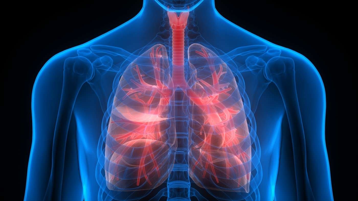 Best Ayurvedic Herbs for Respiratory Strength