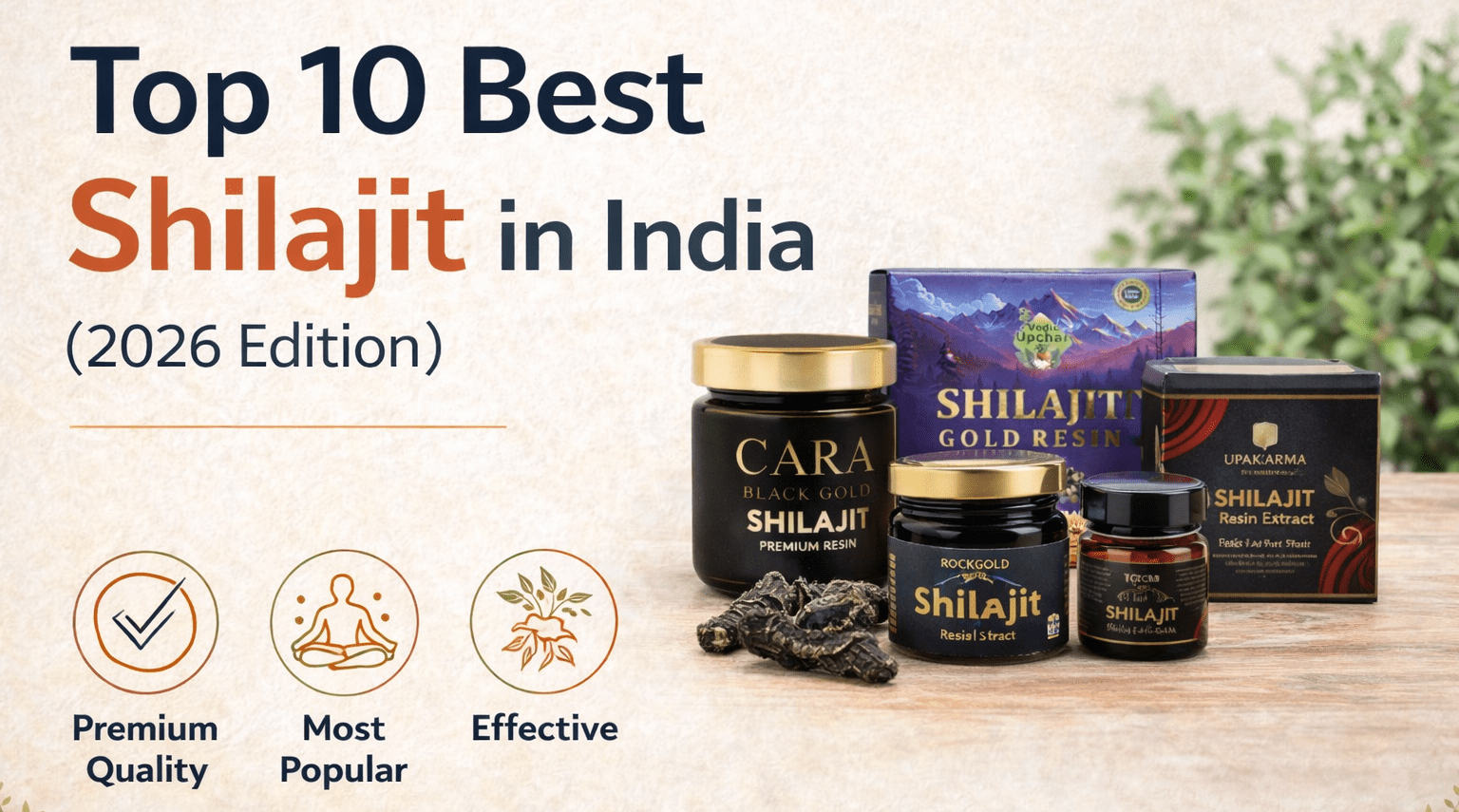 Top 10 Best Shilajit in India (2026 Edition)